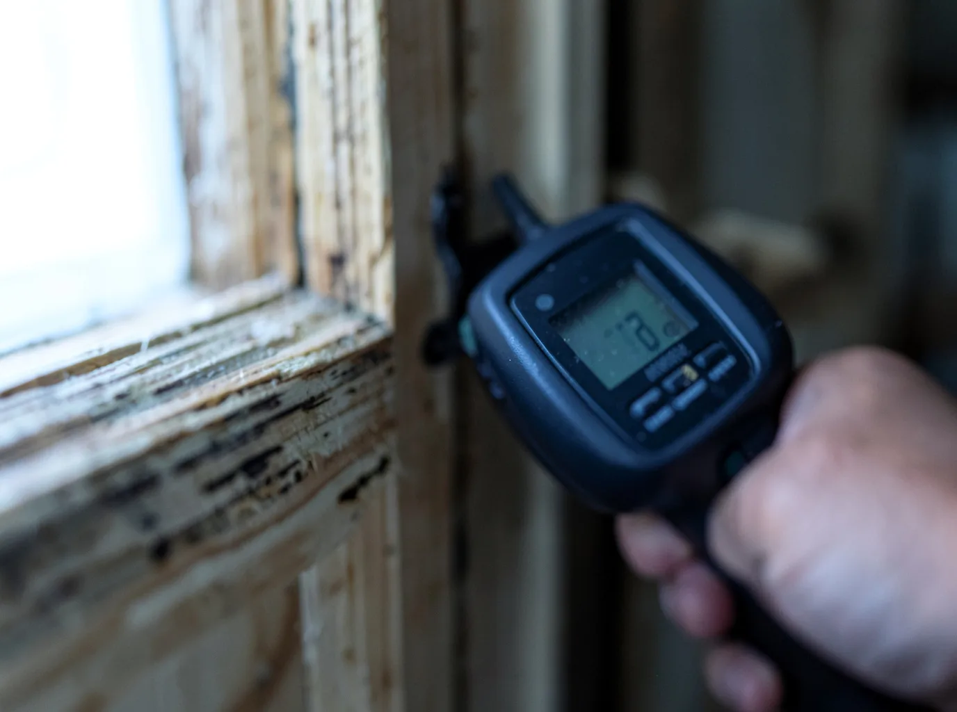 Moisture Inspection And Documentation in Avon, IN